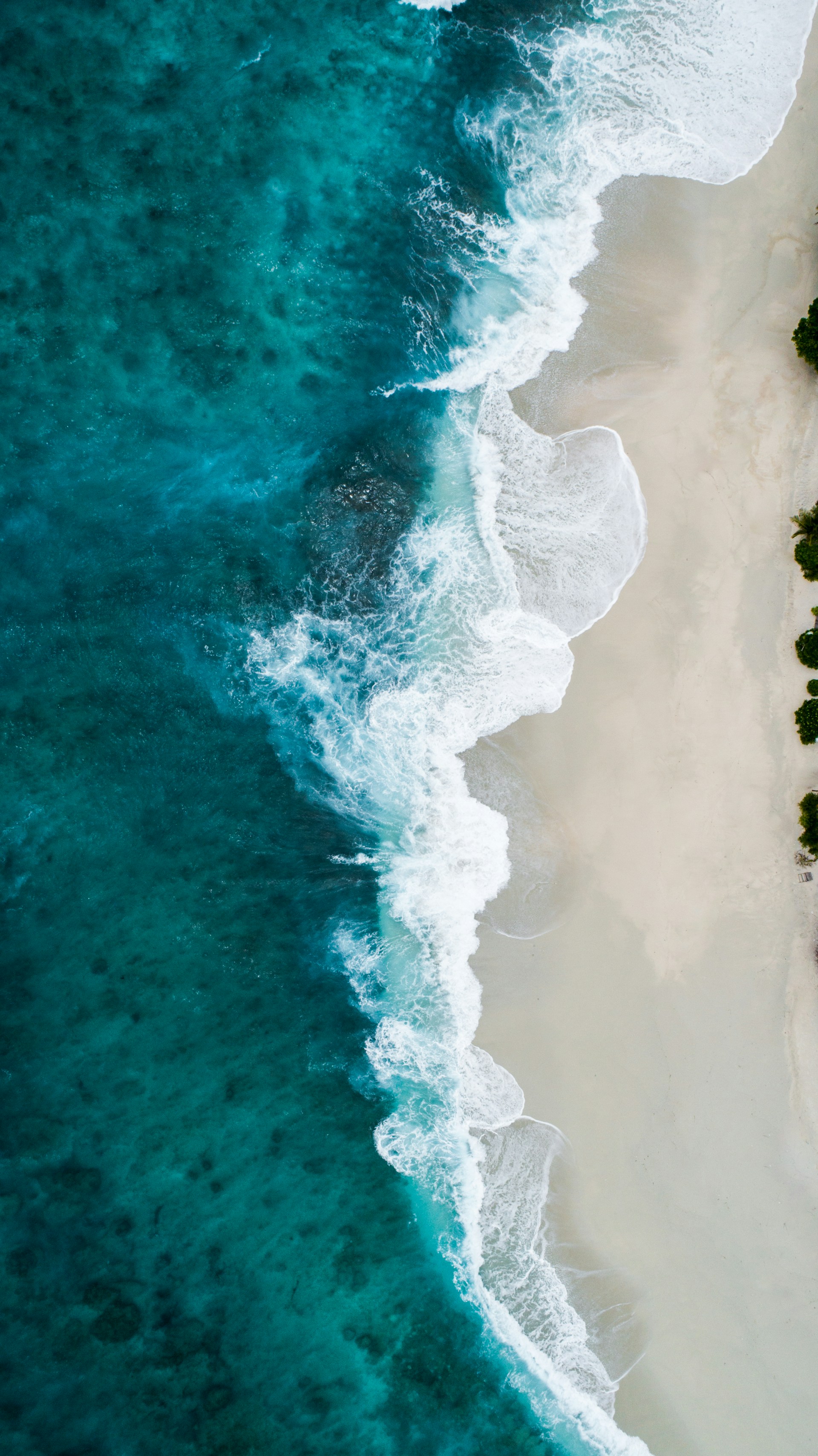 The Southern Ocean
